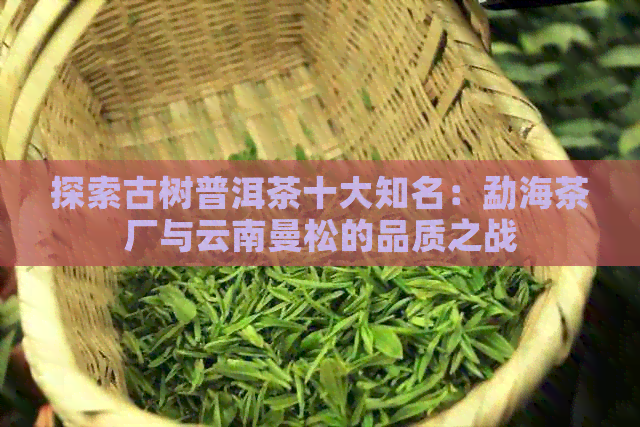 探索古树普洱茶十大知名：勐海茶厂与云南曼松的品质之战