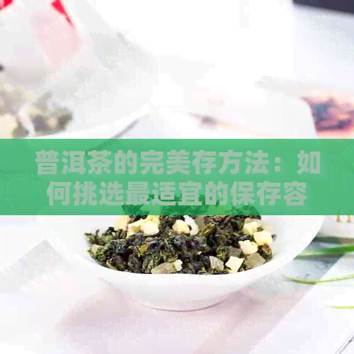 普洱茶的完美存方法：如何挑选最适宜的保存容器与环境