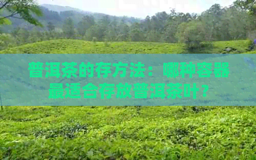 普洱茶的存方法：哪种容器最适合存放普洱茶叶？