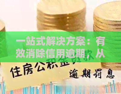 一站式解决方案：有效消除信用逾期，从根本上修复信用记录