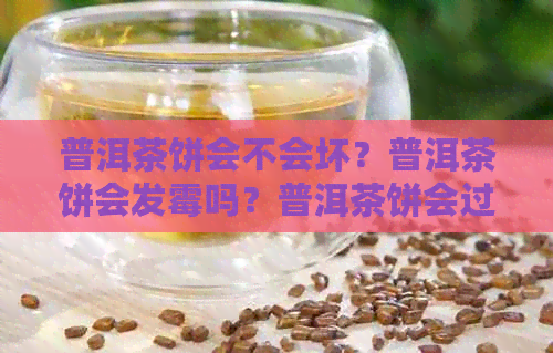 普洱茶饼会不会坏？普洱茶饼会发霉吗？普洱茶饼会过期吗？