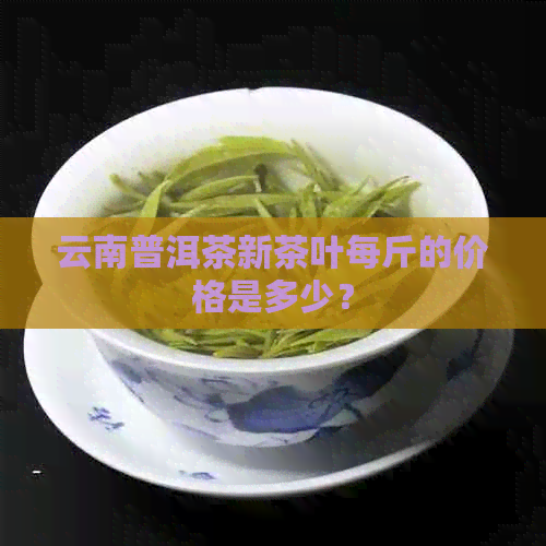 云南普洱茶新茶叶每斤的价格是多少？