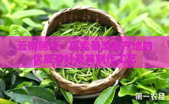 云南腾冲：探索普洱茶产地的优质茶叶及其制作工艺