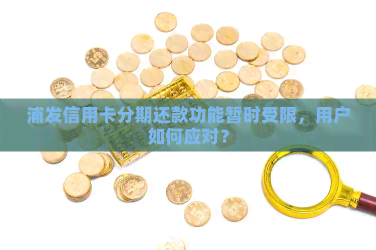 浦发信用卡分期还款功能暂时受限，用户如何应对？