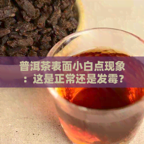 普洱茶表面小白点现象：这是正常还是发霉？