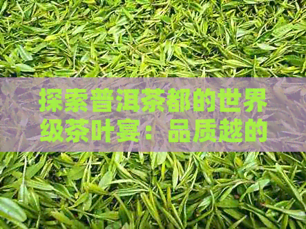 探索普洱茶都的世界级茶叶宴：品质越的与丰富多样的产品推荐