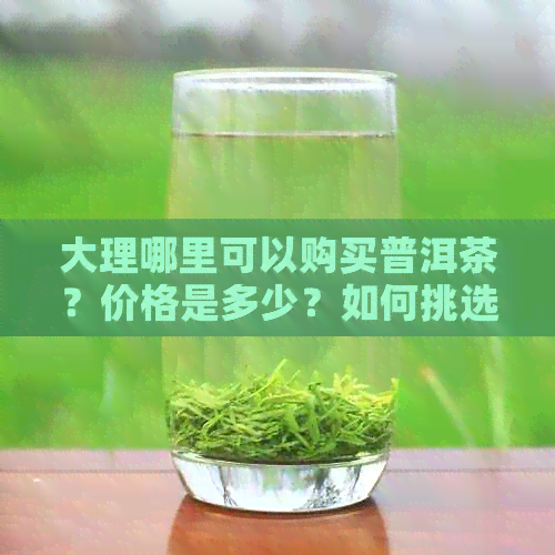 大理哪里可以购买普洱茶？价格是多少？如何挑选优质普洱茶？