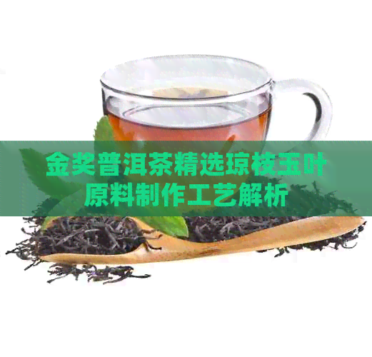 金奖普洱茶精选琼枝玉叶原料制作工艺解析