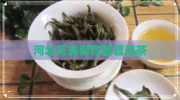 河北天如何存放普洱茶