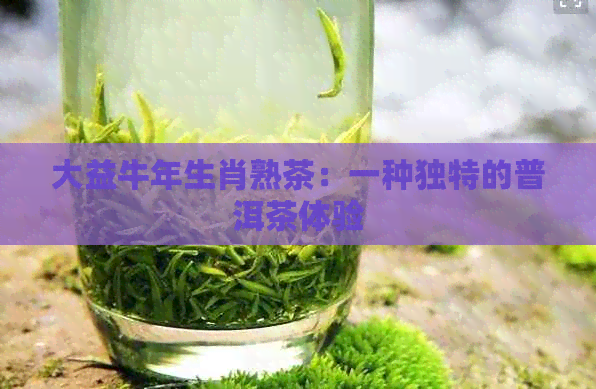 大益牛年生肖熟茶：一种独特的普洱茶体验