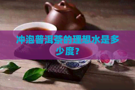 冲泡普洱茶的理想水是多少度？