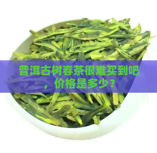 普洱古树春茶很难买到吧，价格是多少？