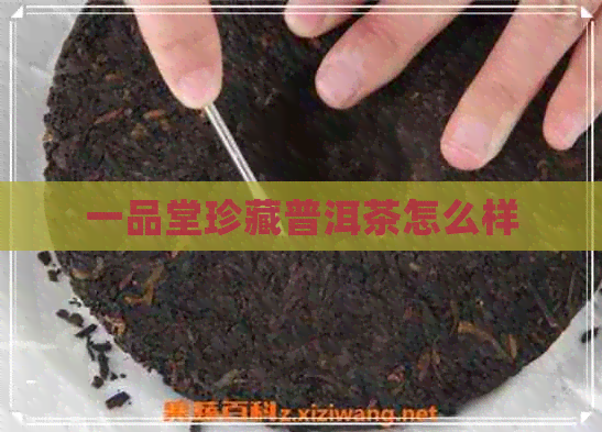 一品堂珍藏普洱茶怎么样