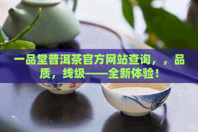 一品堂普洱茶官方网站查询，，品质，线级——全新体验！