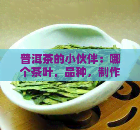 普洱茶的小伙伴：哪个茶叶，品种，制作的？