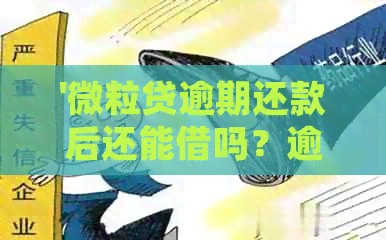 '微粒贷逾期还款后还能借吗？逾期后还款进去就一定借不出来了吗？怎么办？'