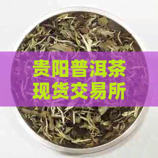 贵阳普洱茶现货交易所：全面了解交易流程、品种选择和投资策略