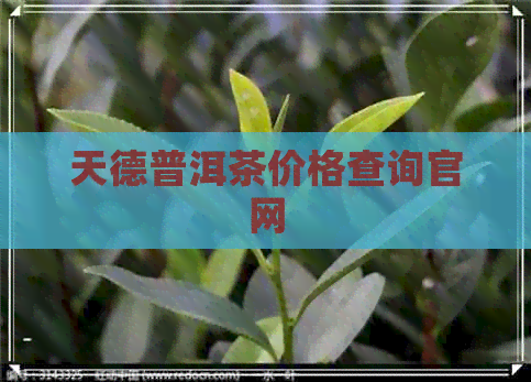 天德普洱茶价格查询官网