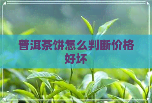 普洱茶饼怎么判断价格好坏