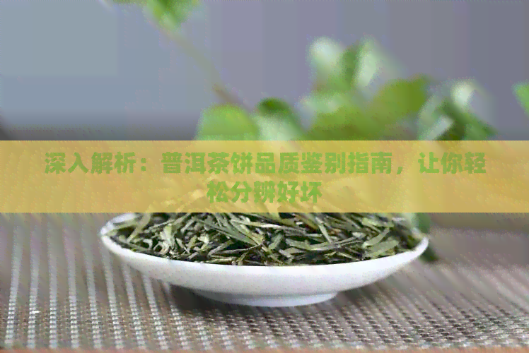 深入解析：普洱茶饼品质鉴别指南，让你轻松分辨好坏