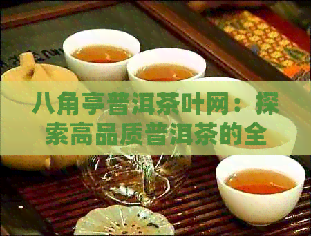 八角亭普洱茶叶网：探索高品质普洱茶的全貌，了解泡茶技巧与品鉴方法