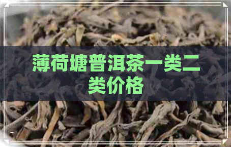 薄荷塘普洱茶一类二类价格