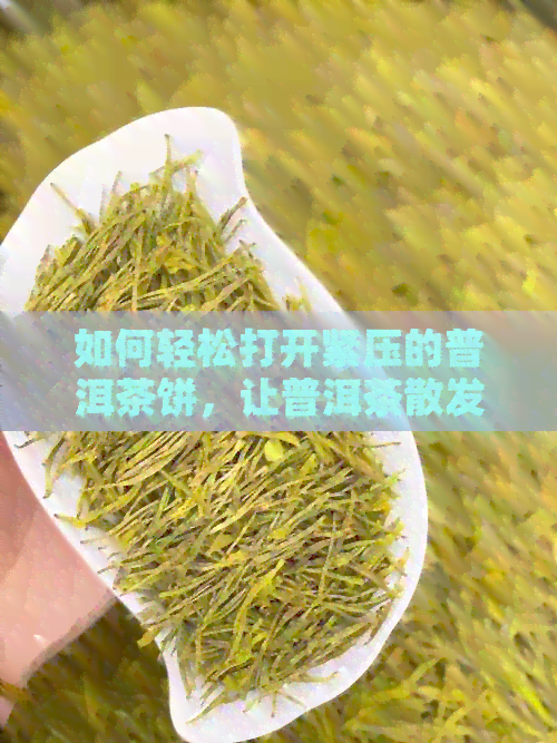 如何轻松打开紧压的普洱茶饼，让普洱茶散发迷人香气