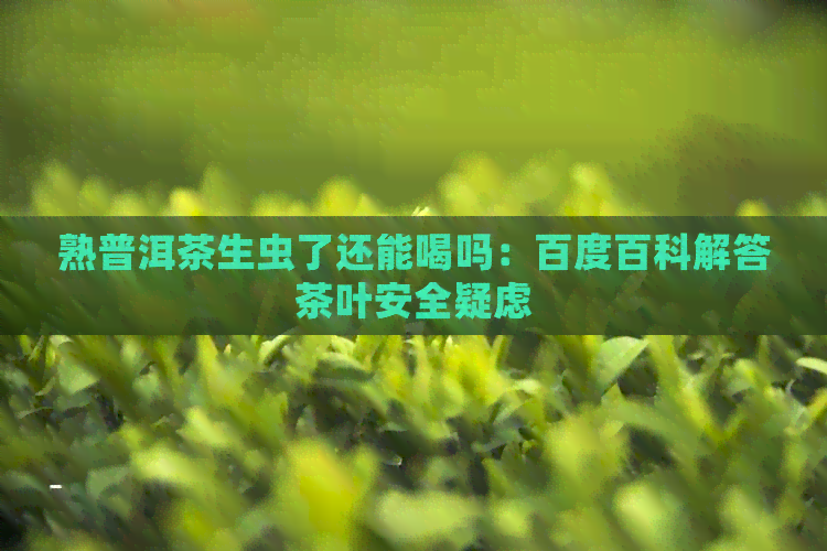 熟普洱茶生虫了还能喝吗：百度百科解答茶叶安全疑虑