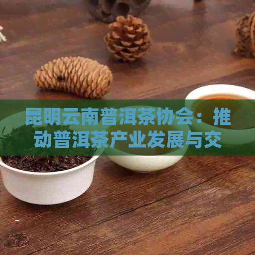 昆明云南普洱茶协会：推动普洱茶产业发展与交流的权威组织