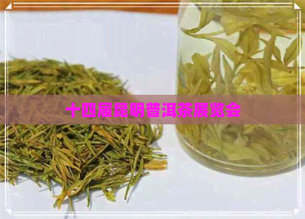 十四届昆明普洱茶展览会