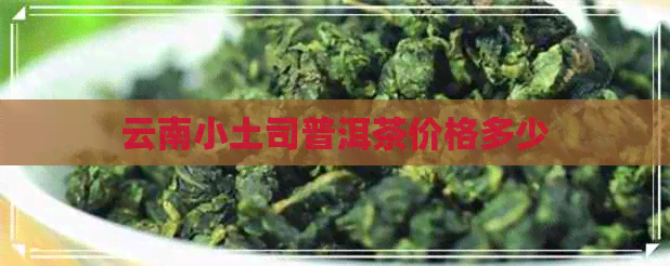 云南小土司普洱茶价格多少