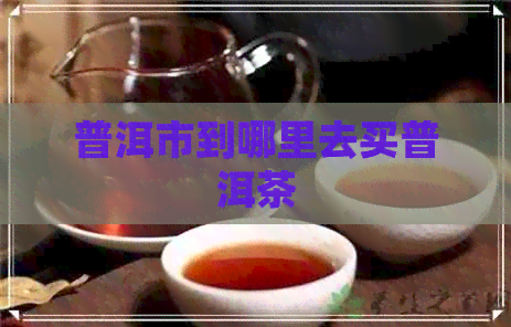 普洱市到哪里去买普洱茶