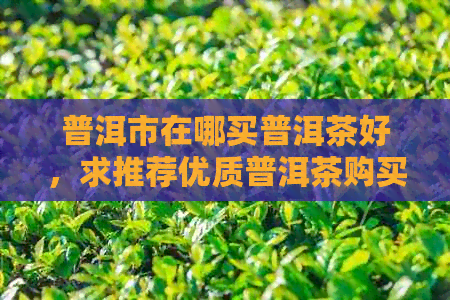 普洱市在哪买普洱茶好，求推荐优质普洱茶购买地