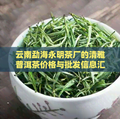 云南勐海永明茶厂的清雅普洱茶价格与批发信息汇总表