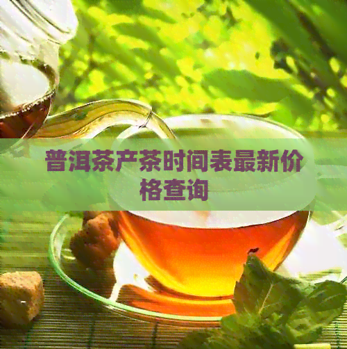 普洱茶产茶时间表最新价格查询