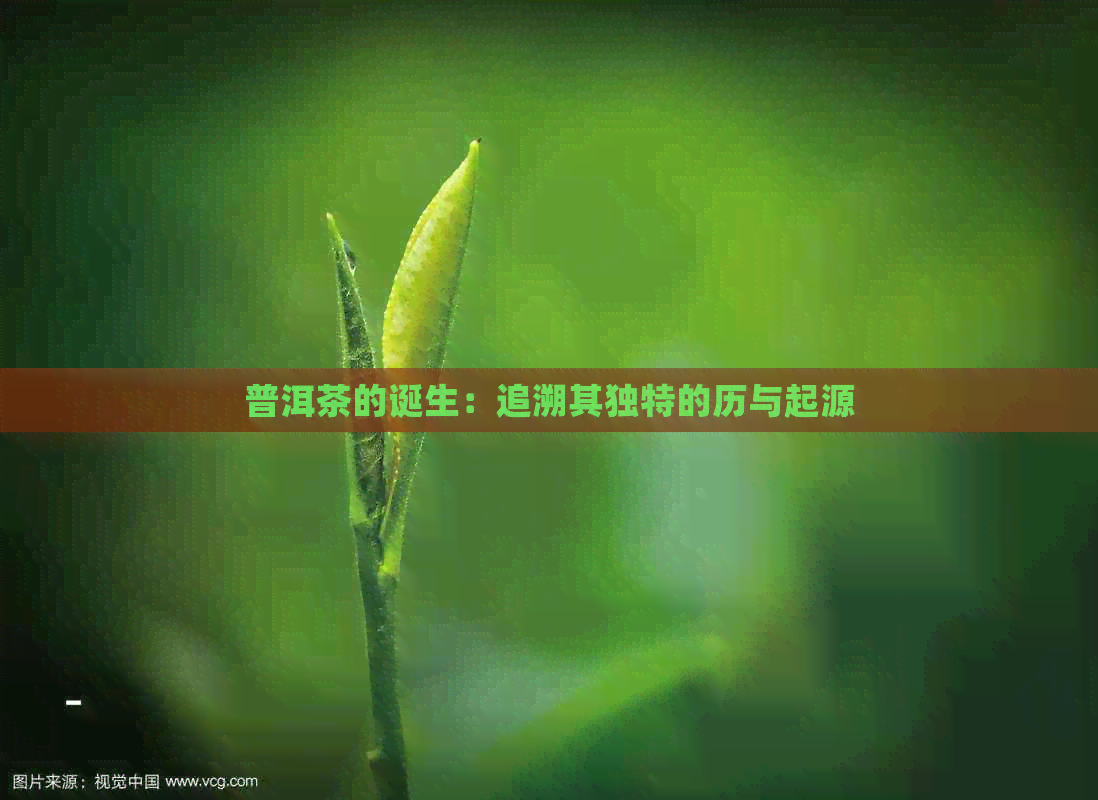 普洱茶的诞生：追溯其独特的历与起源