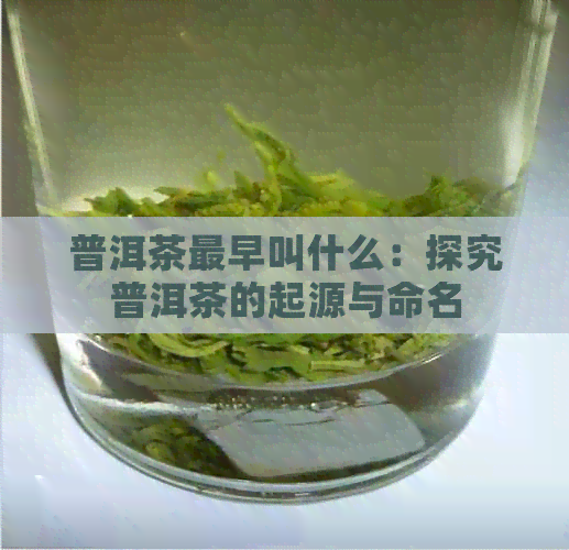 普洱茶最早叫什么：探究普洱茶的起源与命名