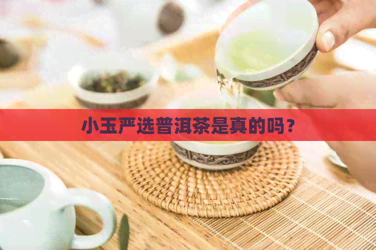 小玉严选普洱茶是真的吗？