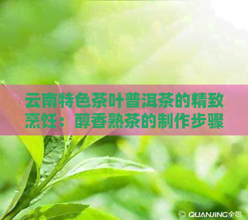 云南特色茶叶普洱茶的精致烹饪：醇香熟茶的制作步骤与口感调优