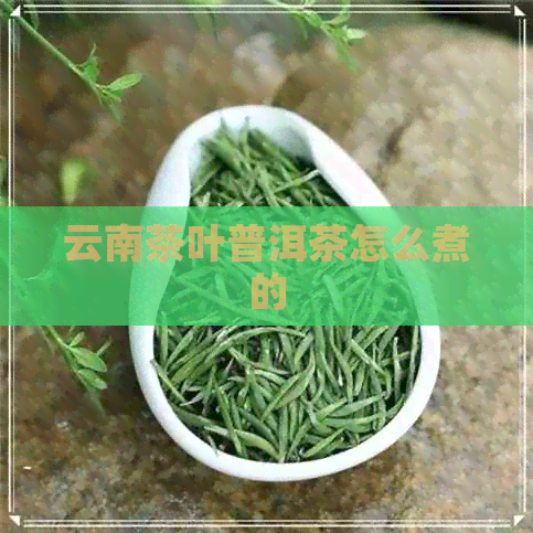 云南茶叶普洱茶怎么煮的