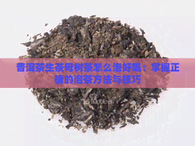 普洱茶生茶母树茶怎么泡好喝：掌握正确的泡茶方法与技巧