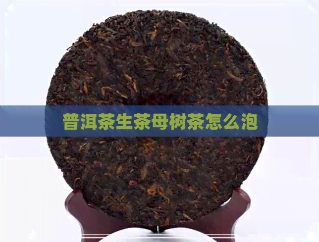 普洱茶生茶母树茶怎么泡