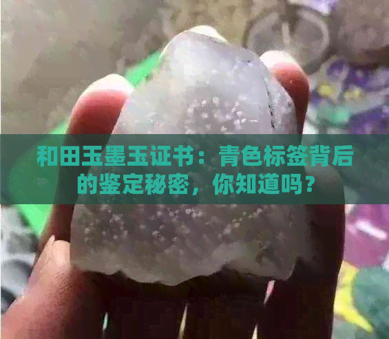 和田玉墨玉证书：青色标签背后的鉴定秘密，你知道吗？