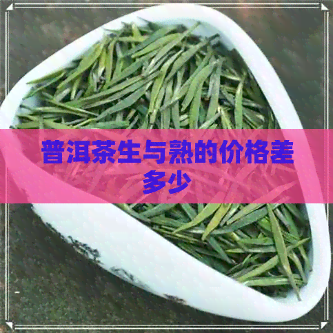 普洱茶生与熟的价格差多少