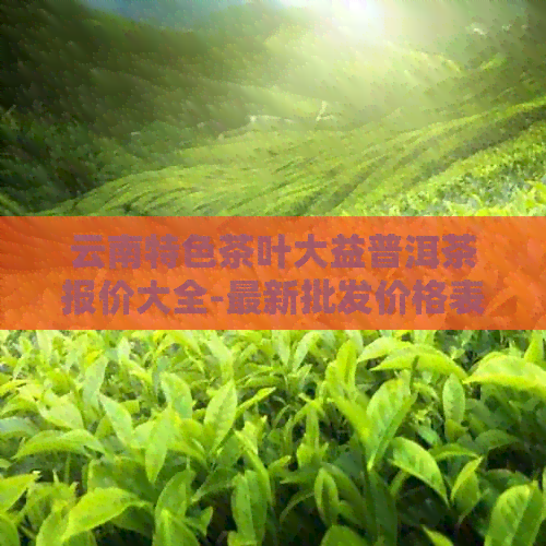 云南特色茶叶大益普洱茶报价大全-最新批发价格表