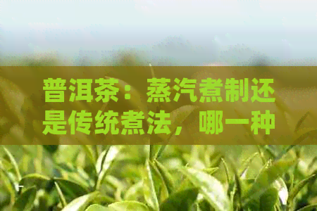 普洱茶：蒸汽煮制还是传统煮法，哪一种更适合品尝探讨？