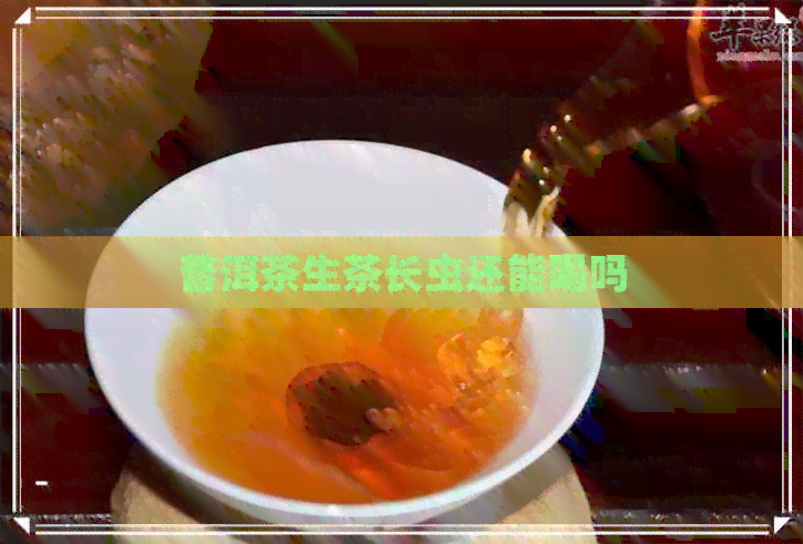 普洱茶生茶长虫还能喝吗