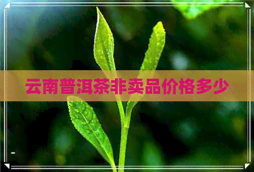 云南普洱茶非卖品价格多少