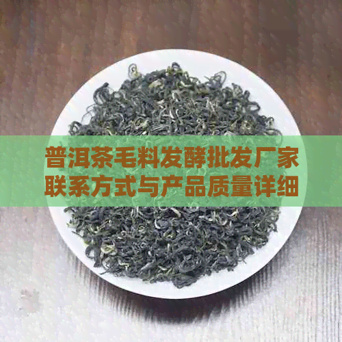 普洱茶毛料发酵批发厂家联系方式与产品质量详细解答