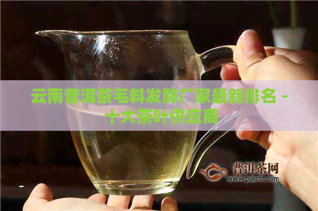 云南普洱茶毛料发酵厂家最新排名 - 十大茶叶供应商